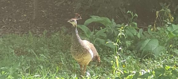  بناية في Viersen, Germany 300متر مربع رقم 137094 3