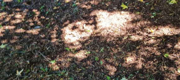  بناية في Viersen, Germany 300متر مربع رقم 137094 15