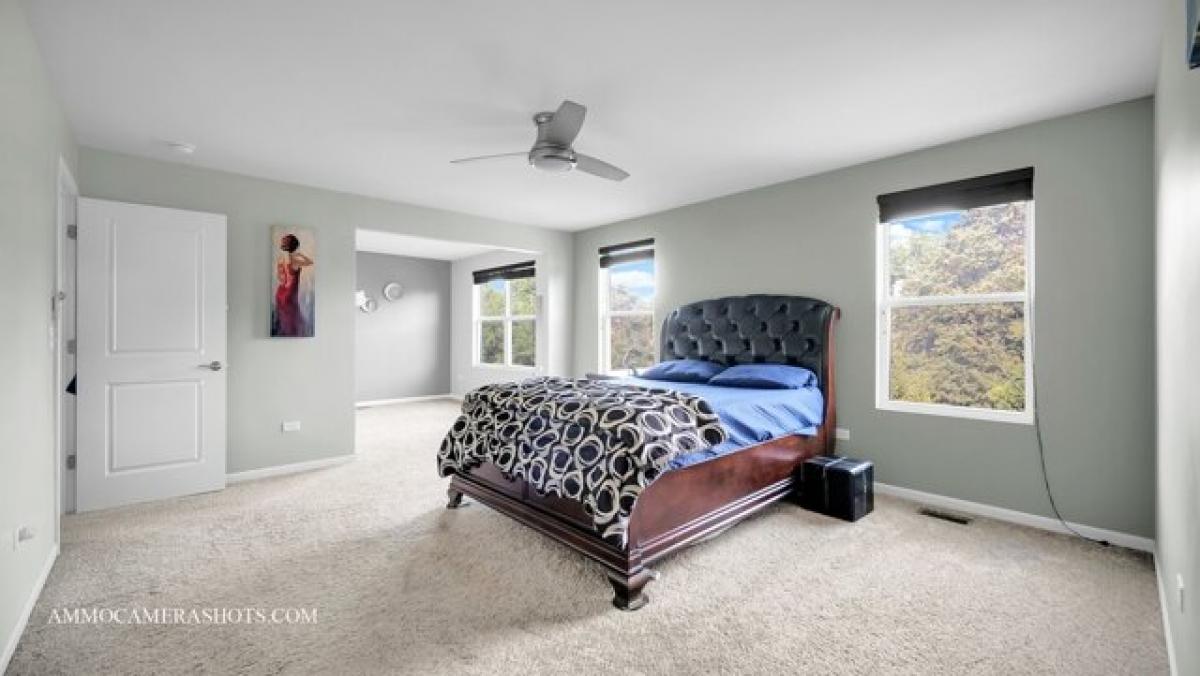 5 bedrooms House in Naperville, USA No. 437749