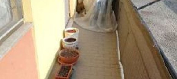 3-Zimmer Wohnung in Mede, Italy, Nr. 97466 12