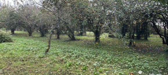 2 bedrooms House in Chateaudun, France No. 217854 4