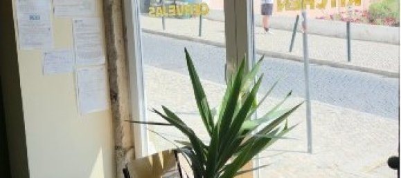 Gewerbliche Immobilie in Lisbon, Portugal 214m², Nr. 265335 18