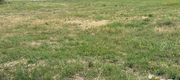 Terrain à Saint-Sardos, France No. 298856 2