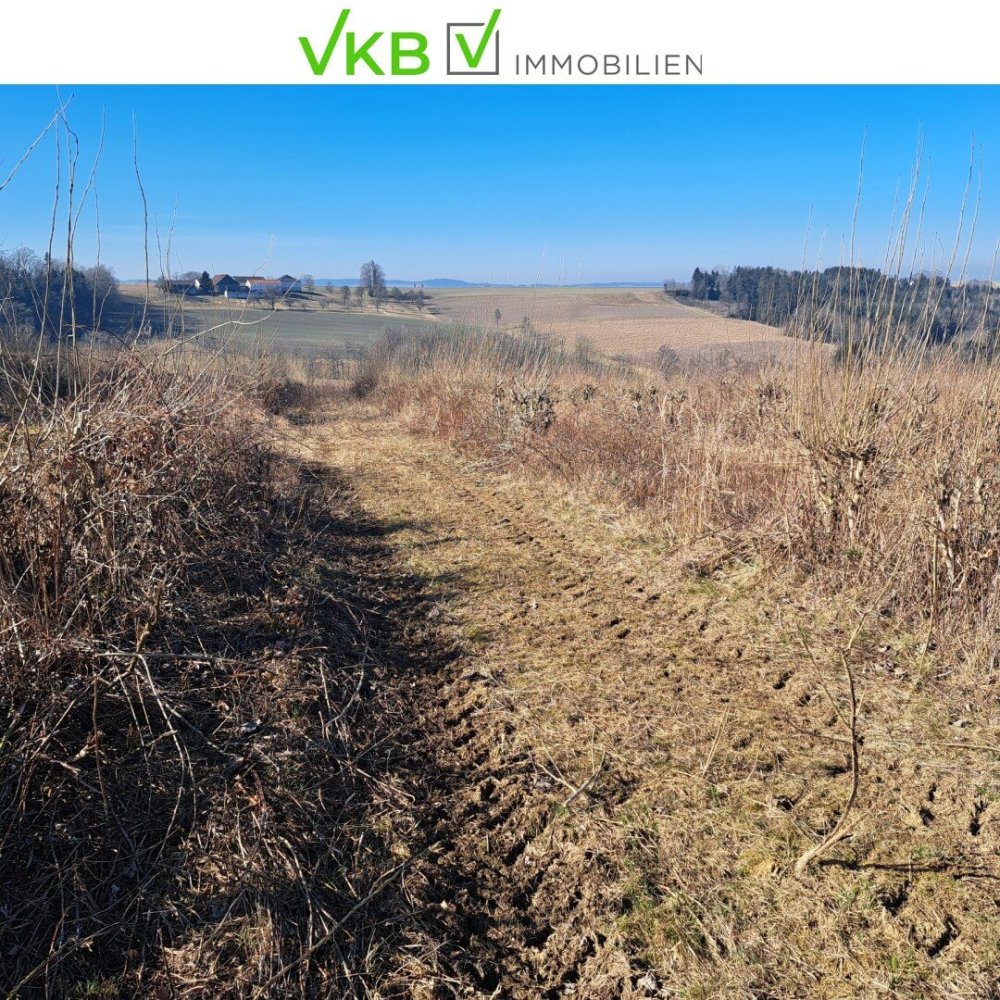 Земельный участок в Виппенхам, Австрия № 126384