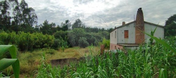 4 Schlafzimmer Haus in Asseiceira, Portugal, Nr. 187169 5
