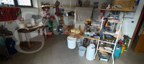 Villa de 4 dormitorios en Asciano, Italy No. 288736 19