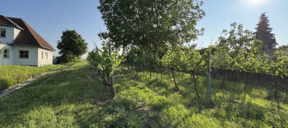 Grundstück in Fels am Wagram, Austria, Nr. 195187 7