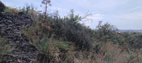 2800m² Land in Misterbianco, Italy No. 51228 23