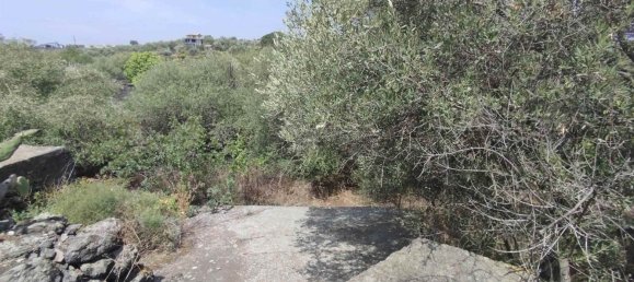 2800m² Land in Misterbianco, Italy No. 51228 63