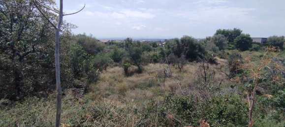 2800m² Land in Misterbianco, Italy No. 51228 64