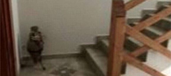 3 bedrooms Apartment in Favara, Italy No. 277288 16