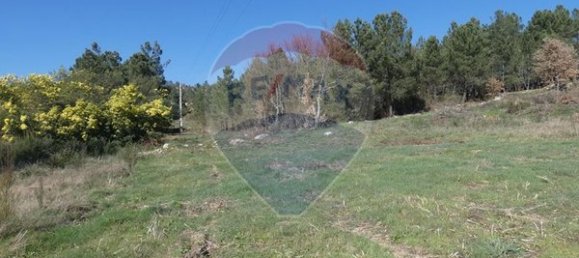 9656m² Land in Ferreirim, Portugal No. 90495 3
