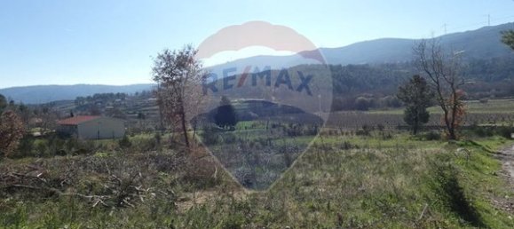 9656m² Land in Ferreirim, Portugal No. 90495 2