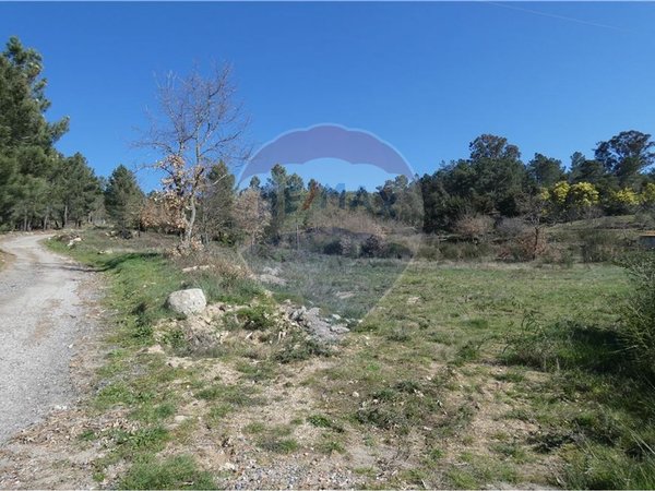 9656m² Land in Ferreirim, Portugal No. 90495