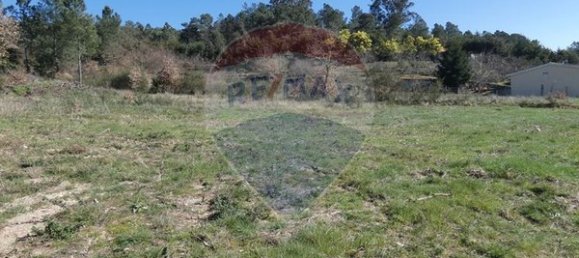 9656m² Land in Ferreirim, Portugal No. 90495 7