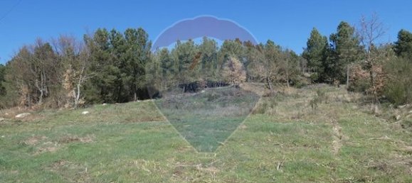 9656m² Land in Ferreirim, Portugal No. 90495 4