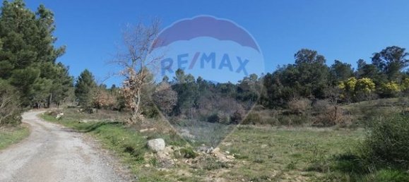 9656m² Land in Ferreirim, Portugal No. 90495 5