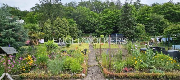 6غرفة تاون هاوس في Saarlouis, Germany رقم 60308 21