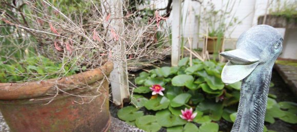 4 rooms Apartment in Lower Saxony, Germany No. 239885 12