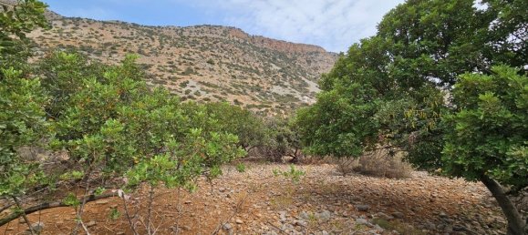 Hôtel à Agios Nikolaos, Greece 5337m² No. 2130 3