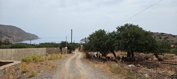 Hôtel à Agios Nikolaos, Greece 5337m² No. 2130 2