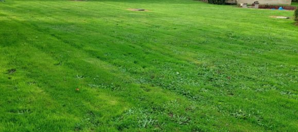 Casa de 5 habitaciónes en Trigueres, France No. 160696 2