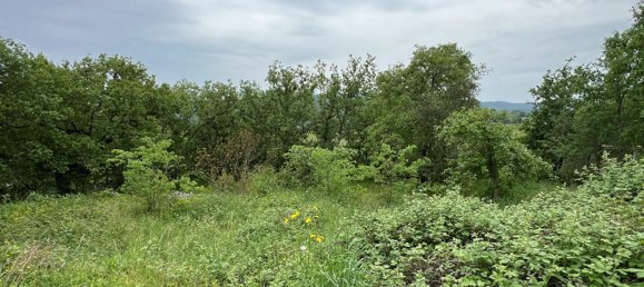 Terrain à Saint-Alban-Auriolles, France No. 243624 2