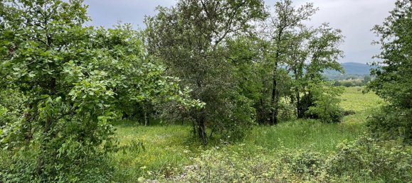 Terrain à Saint-Alban-Auriolles, France No. 243624 3