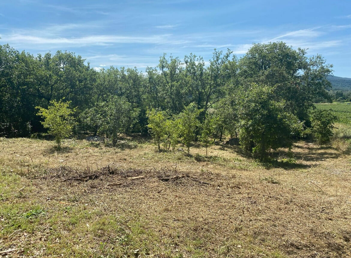 Terrain à Saint-Alban-Auriolles, France No. 243624