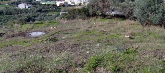 Hotel in Chania, Greece 2027m², Nr. 5852 3