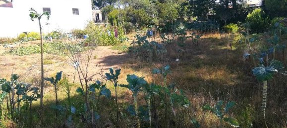  قطعة أرض في Vila Nova de Gaia, Portugal 430متر مربع رقم 59271 5