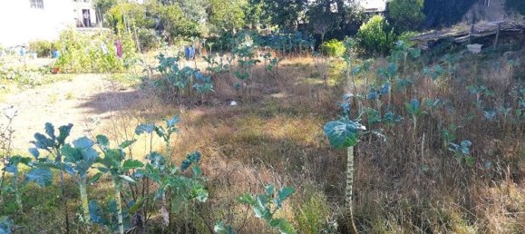  قطعة أرض في Vila Nova de Gaia, Portugal 430متر مربع رقم 59271 3