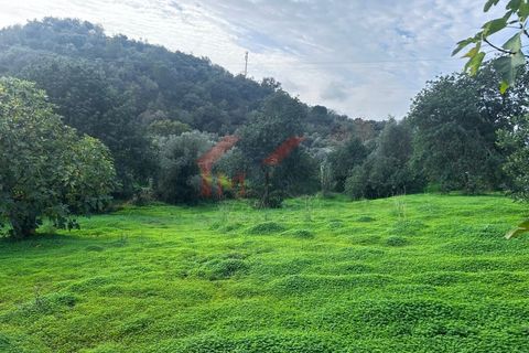 Grundstück in Loule, Portugal, Nr. 338514