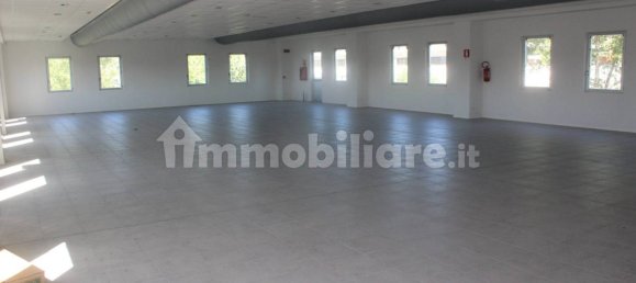 2 rooms Warehouse in Casole d'Elsa, Italy No. 79433 2