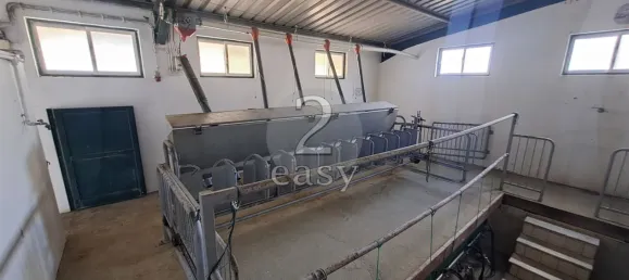 1 غرف نوم منزل في Selmes, Portugal رقم 42421 24