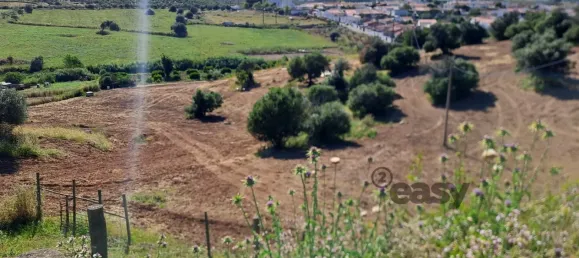 1 غرف نوم منزل في Selmes, Portugal رقم 42421 43