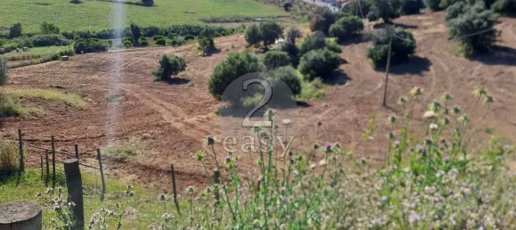 1 غرف نوم منزل في Selmes, Portugal رقم 42421 5