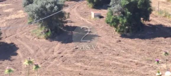 1 غرف نوم منزل في Selmes, Portugal رقم 42421 6