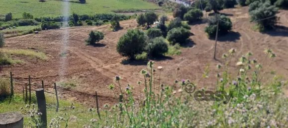 1 غرف نوم منزل في Selmes, Portugal رقم 42421 42