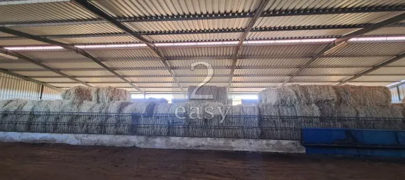 1 غرف نوم منزل في Selmes, Portugal رقم 42421 28