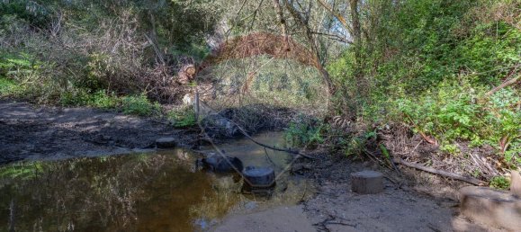 1 chambre Maison à Sao Teotonio, Portugal No. 66199 14