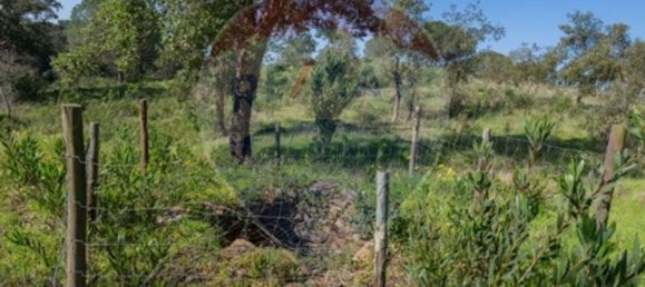 1 chambre Maison à Sao Teotonio, Portugal No. 66199 11