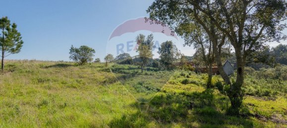 1 chambre Maison à Sao Teotonio, Portugal No. 66199 13