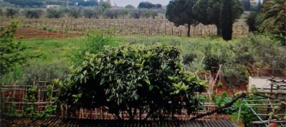 5-Zimmer Haus in Portoferraio, Italy, Nr. 110888 11