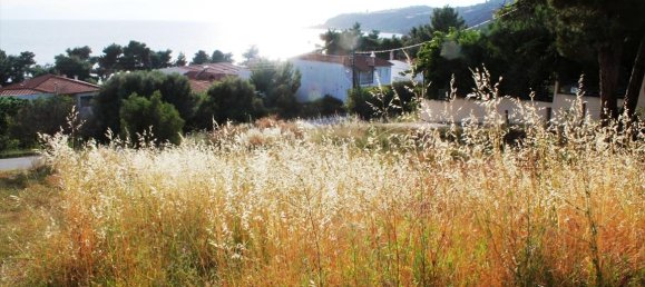 1270m² Hotel in Chalkidiki, Greece No. 7806 4