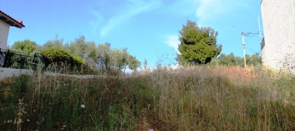 1270m² Hotel in Chalkidiki, Greece No. 7806 2