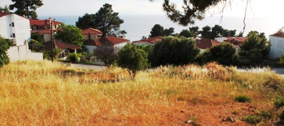 1270m² Hotel in Chalkidiki, Greece No. 7806 3