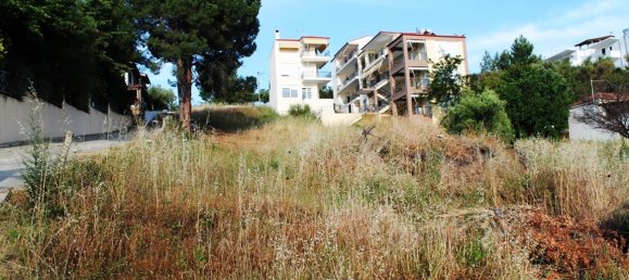 1270m² Hotel in Chalkidiki, Greece No. 7806 5