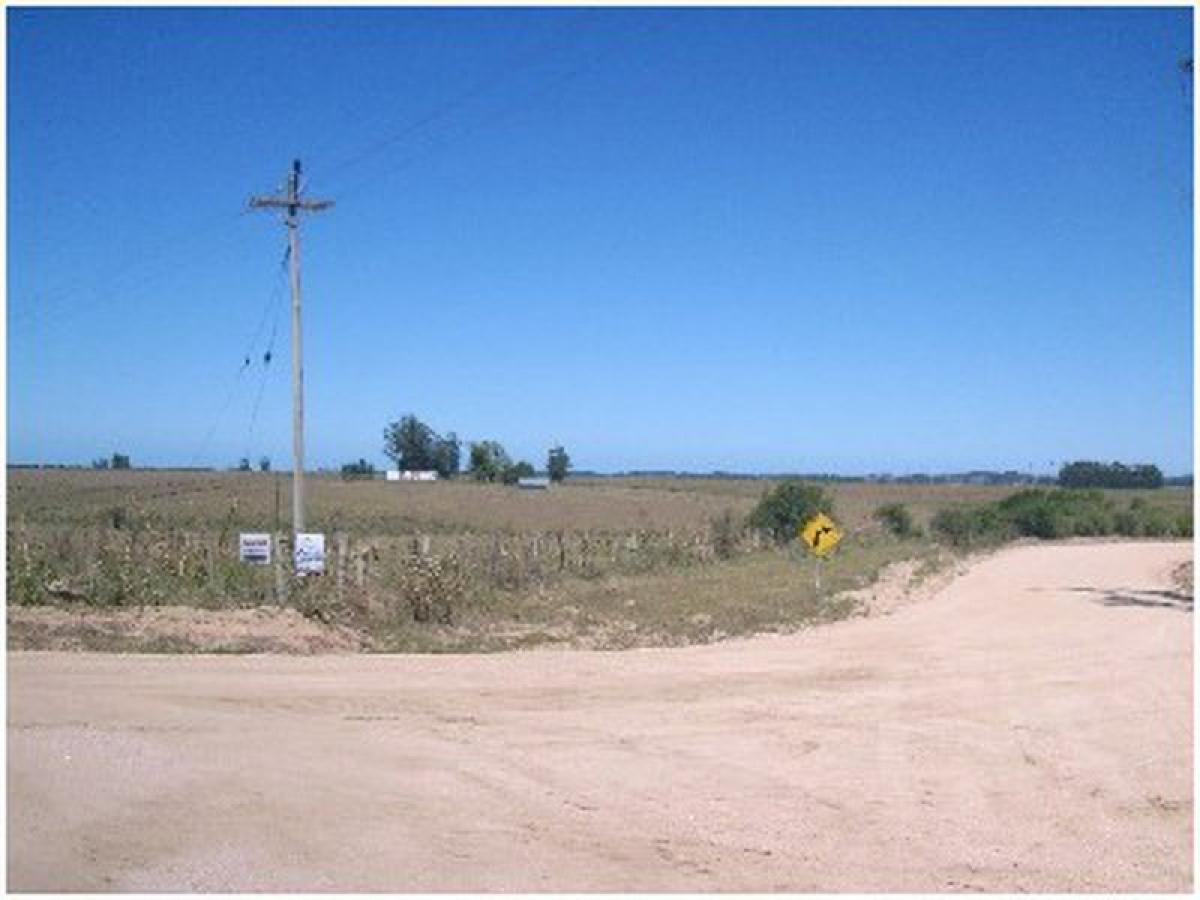 10m² Farm in Maldonado, Uruguay No. 14518