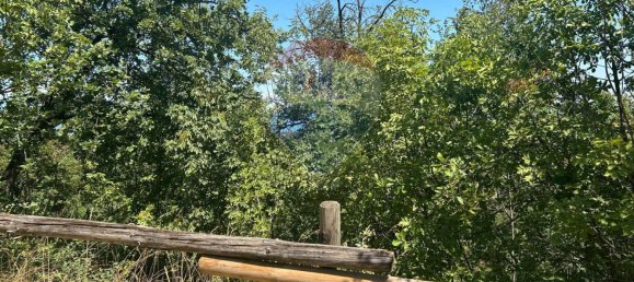 24000m² Land in Soiano del Lago, Italy No. 346101 20